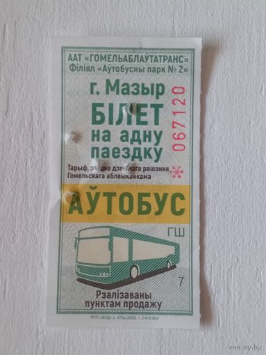 Билет на одну поездку. г. Мозырь