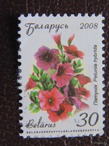 Беларусь 2008 г.