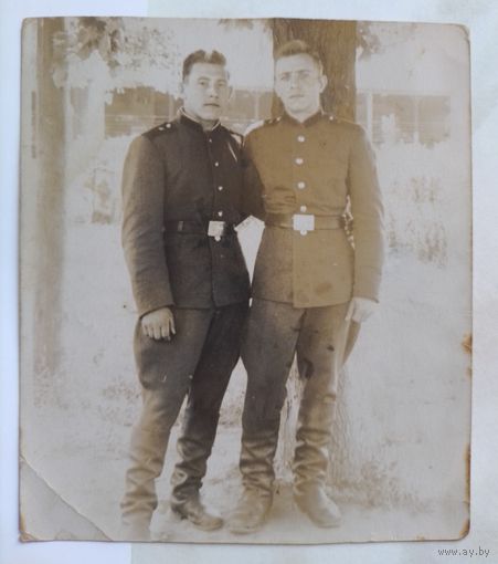 Фото в коллекцию