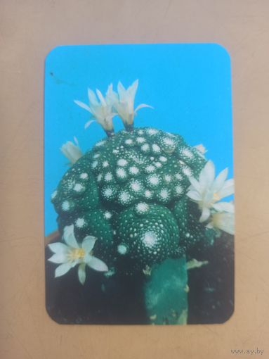 Календарь 1990/7 Цветы