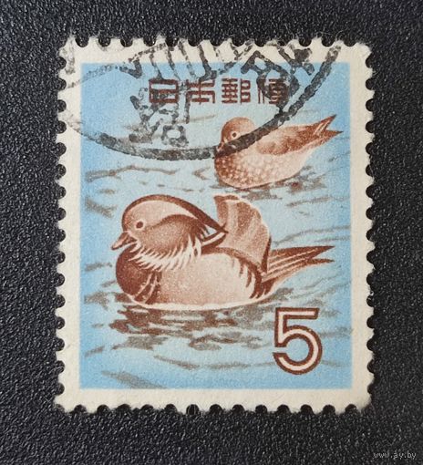 Марка Япония птицы 1955г. 1.9