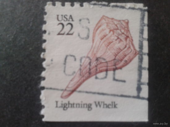 США 1985 стандарт, ракушка