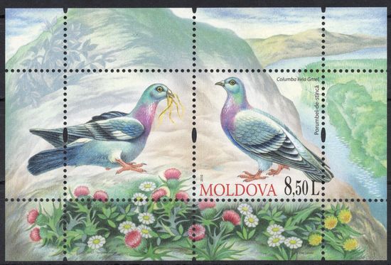Молдова 2010. Фауна. Голуби. 1 блок (384)