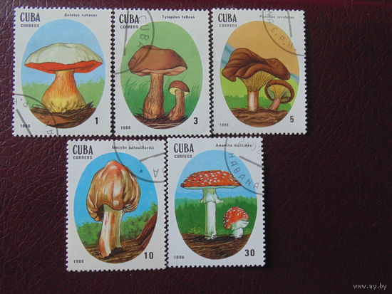Куба  1988 г. Грибы.