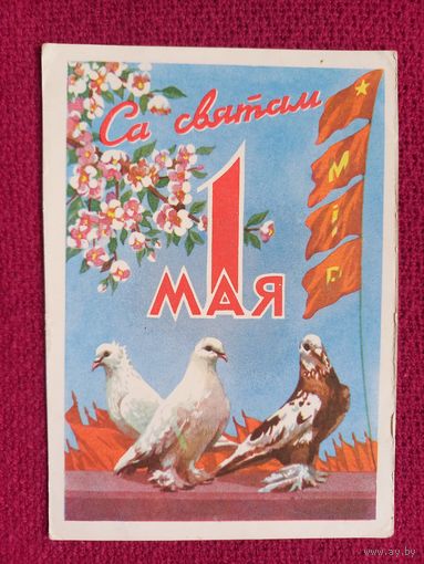 С Праздником 1 Мая! Белорусская открытка. Зеленов 1960 г. Чистая. Кр1.