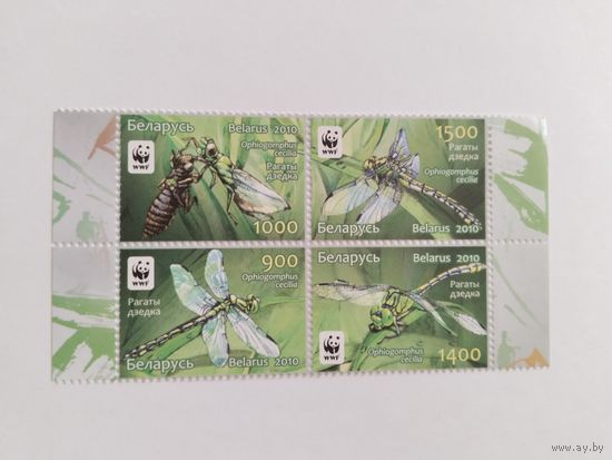 Беларусь  2010  кв/бл стрекозы