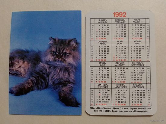 Карманный календарик. Котик.1992 год