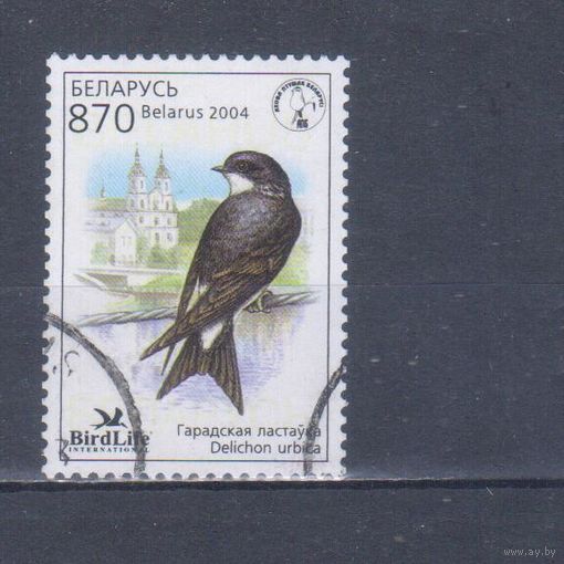 [558] Беларусь 2004. Фауна.Птицы.Ласточка. Гашеная марка.