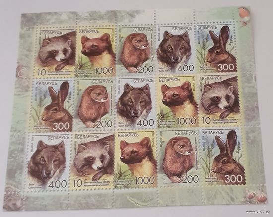 Беларусь 2008 Стандарты