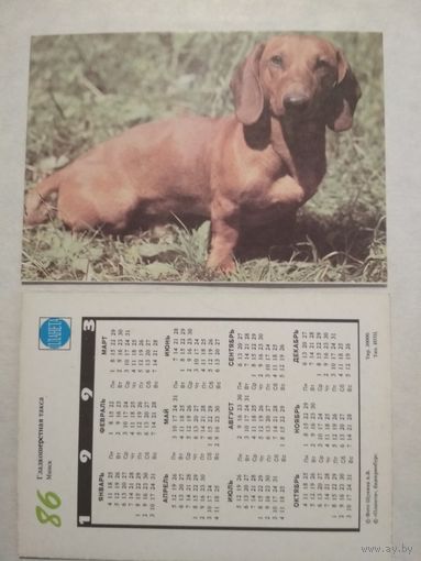 Карманный календарик. Собака.1993 год
