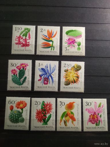 Венгрия. 1965 г. Цветы.