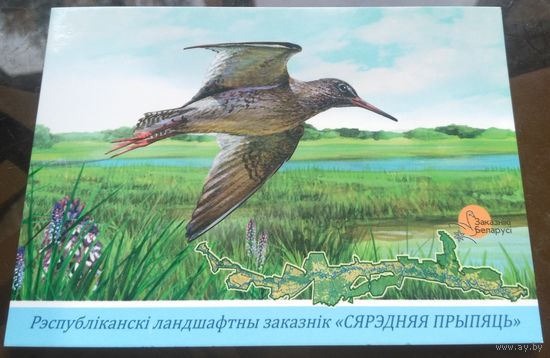 2022 год Заказник Средняя Припять