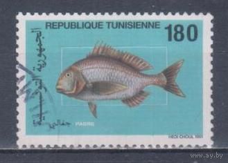[1337] Тунис 1991. Фауна.Рыбы. Гашеная марка. 1