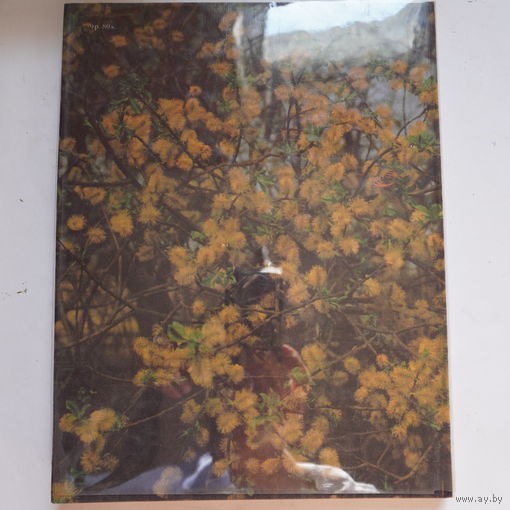 Книга о природе Беларуси