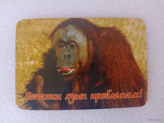 Животные, Обезьяны, 2003 год. Карманные календарики, Календарик, Календарь