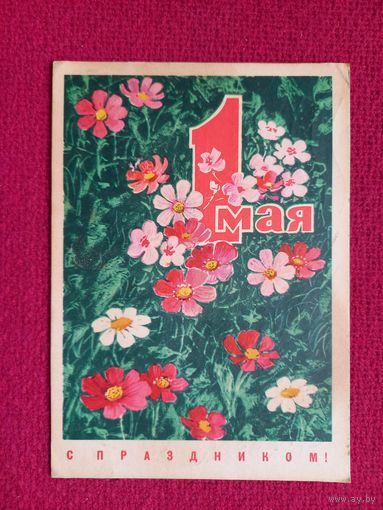 С Праздником 1 Мая! Кузнецов 1970 г.