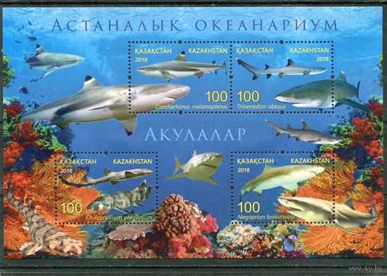Казахстан. Астана. Аквариум. Акулы. Блок