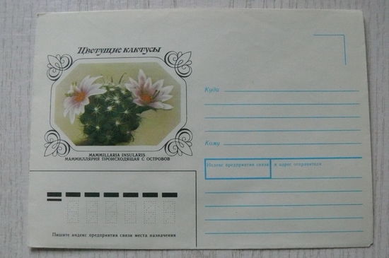 1983, 1990, ХНМК, Горинов К., Маммиллярия, из серии "Цветущие кактусы".
