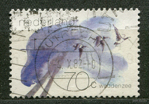 Птицы. Белощекая казарка. 1982. Нидерланды