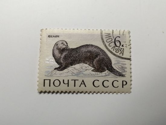 1971 СССР. Морские млекопитающие
