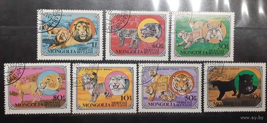 Монголия. 1979 год. Фауна. Дикие кошки (592)