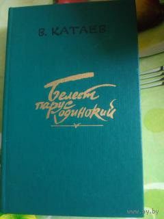 В.И.Костылев. ПИТИРИМ. Год изд. 1988.