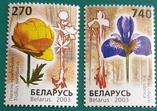 2003 Редкие виды цветов, занесенные в Красную книгу Беларуси