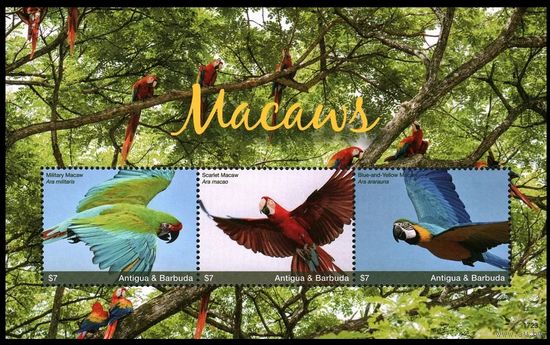 2017 Антигуа и Барбуда 5546-5548KL Птицы - Попугаи 19,00 евро