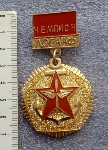 Чемпион ДОСААФ.