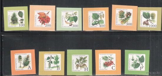 Беларусь-2004,(Мих.530-540)  , Стандарт, Флора