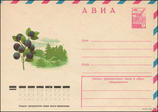 Художественный маркированный конверт СССР N 12263 (26.07.1977) АВИА  [Черника]