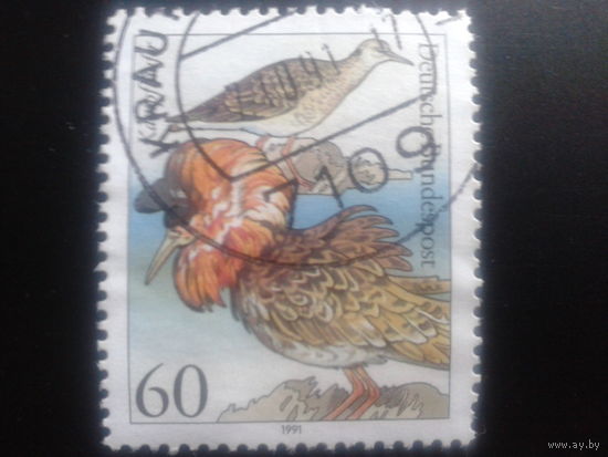 Германия 1991 птицы Михель-0,6 евро гаш.