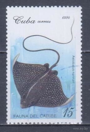 [1565] Куба 1994. Фауна.Рыбы.Скат. Гашеная марка.