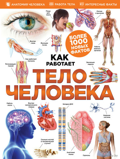 Тело человека. Как работает. Иллюстрированная энциклопедия ///