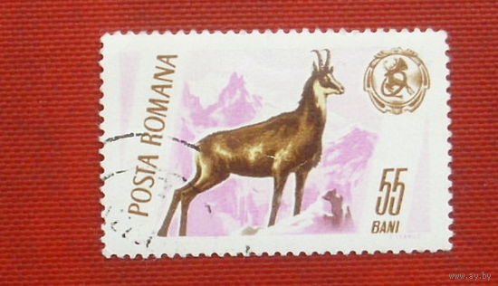 Румыния. Фауна. ( 1 марка ). 10-15.