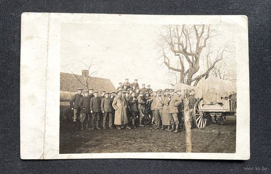 Фотооткрытка 1 Мировая война / Группа немецких солдат и офицеров / униформа / повозки