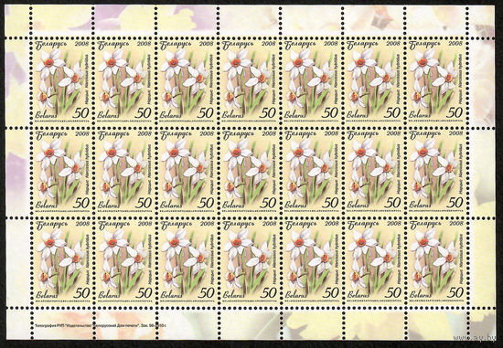 Беларусь. 2008. Стандарт.  Нарцисс (50р) (з.99-2010) Лист