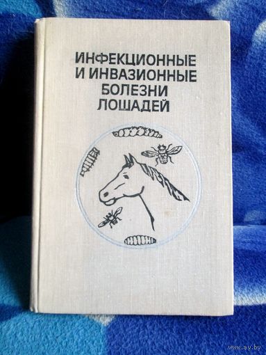 Инфекционные и инвазионные болезни лошадей