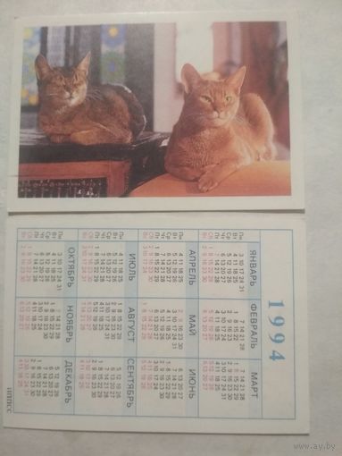 Карманный календарик. Котик.1994 год