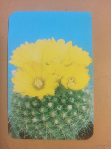 Календарь 1990/8 Цветы