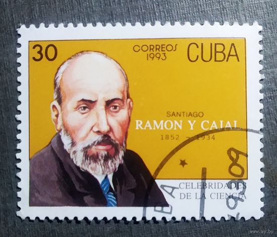 Марка Куба 1993 Рамон Кахаль