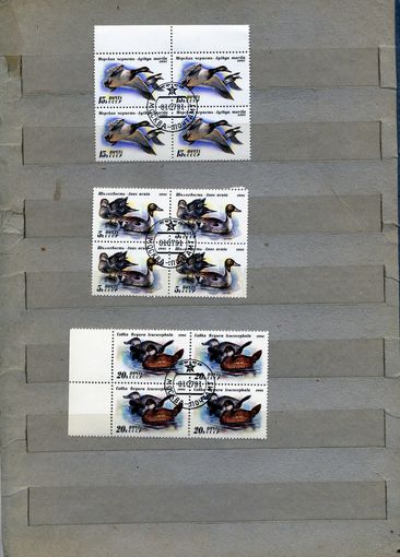 СССР, 1991, УТКИ, серия 3м    в к/блок  гашеная