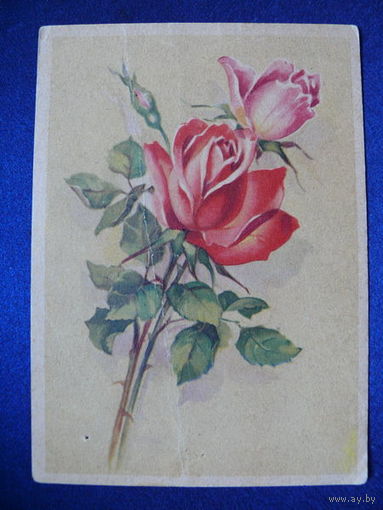 Открытка-2 (розы), Германия, подписана.