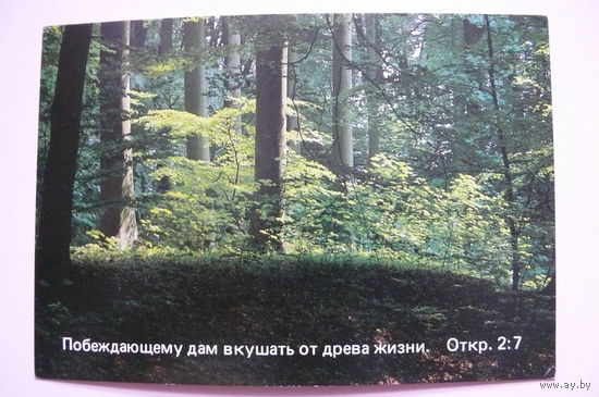 Религия, цитаты, изд. Нидерланды; чистые, цена за 1 шт.