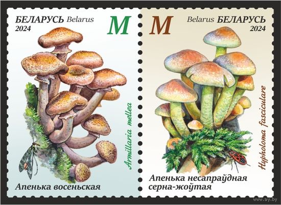 2024г Беларусь MNH  СЦЕПКА "Грибы-двойники"