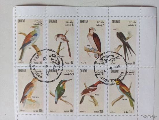 Дофар. Птицы. Малый лист