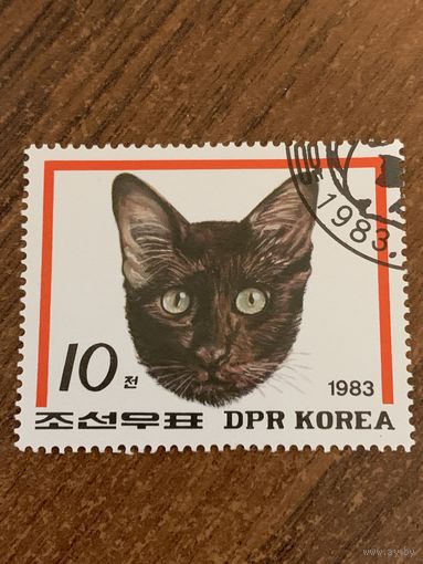 КНДР 1983. Породы кошек. Марка из серии