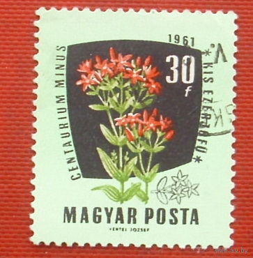 Венгрия. Цветы. ( 1 марка ) 1961 года. 8-18.
