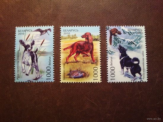 Беларусь 2010 г.Охотничьи собаки./п/