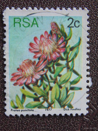 ЮАР 1977 г. Цветы.
